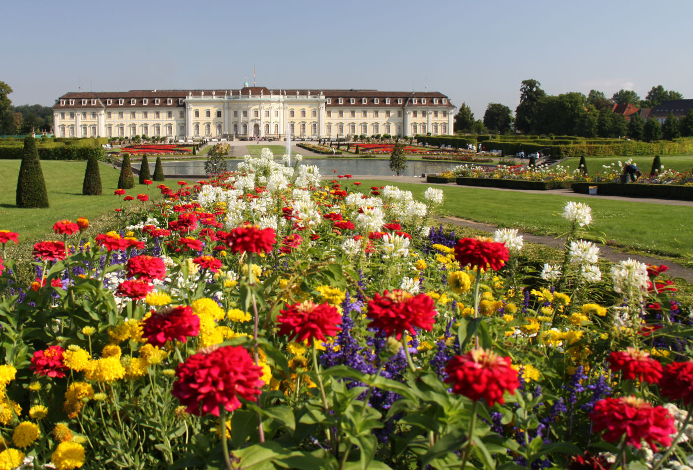 Blühendes Blumenmeer vor dem Residenzschloss 