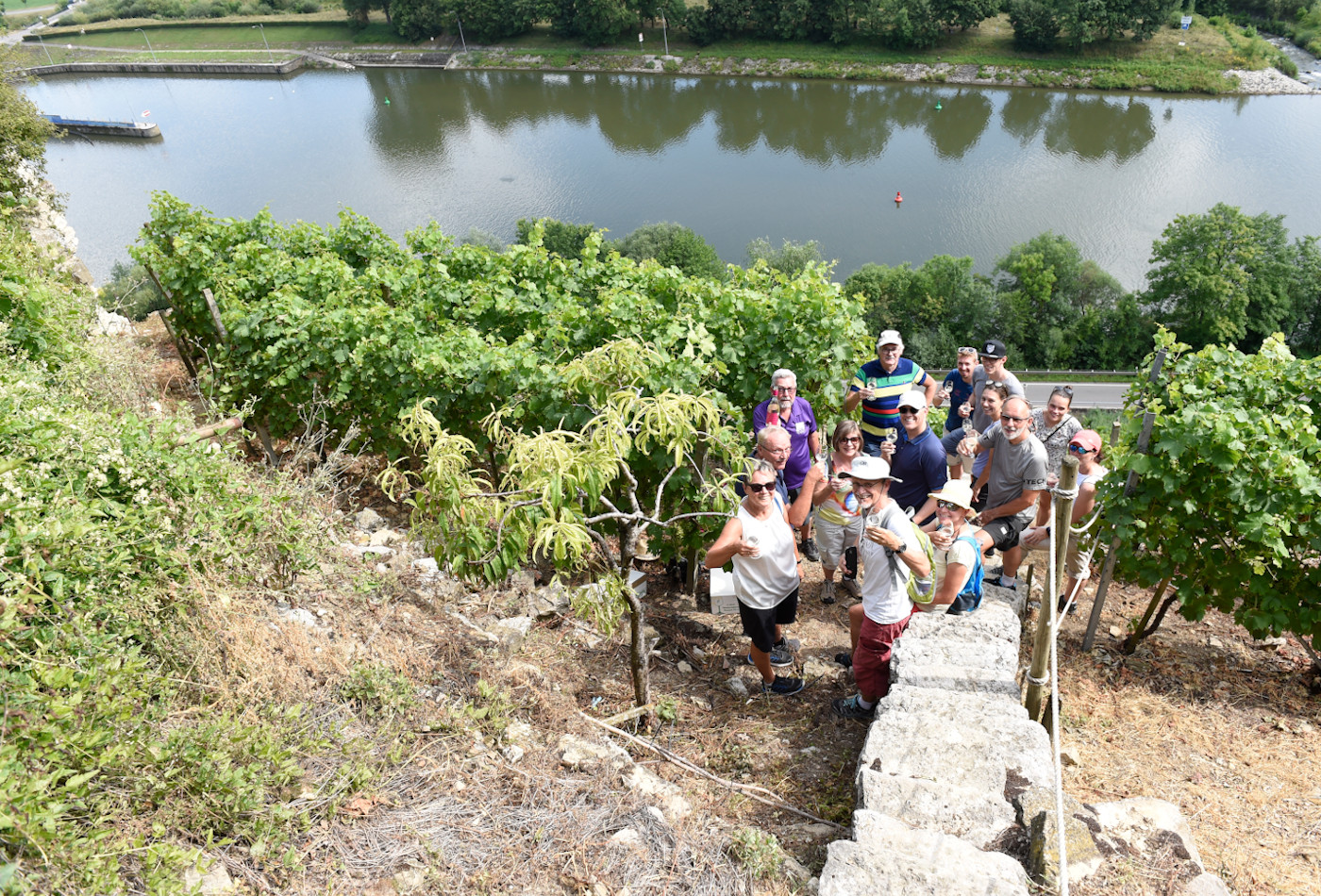 Eine Gruppe Menschen steht in den Weinbergen, im Hintergrund der Neckar